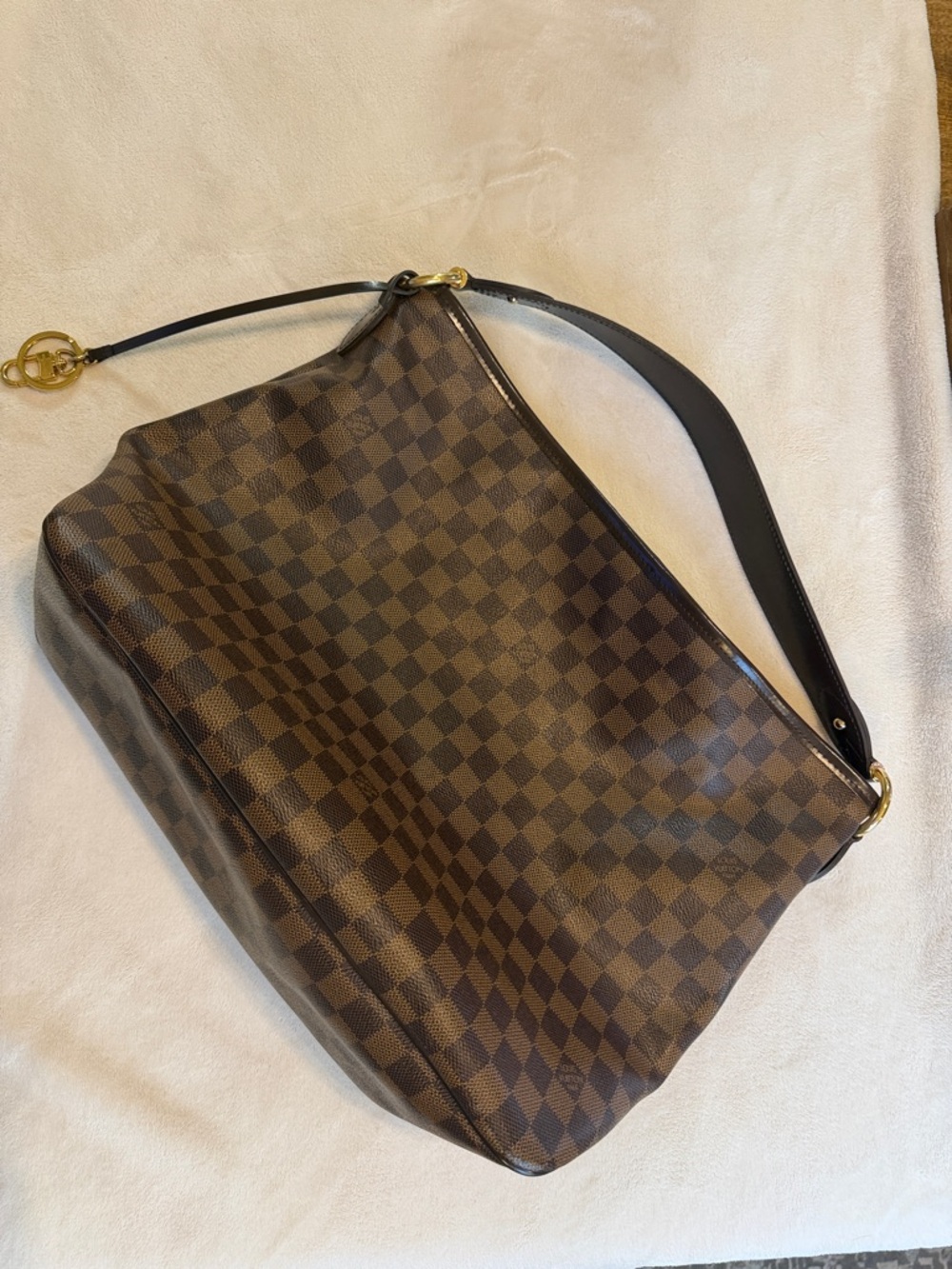 Louis Vuitton Brown Damier Ebene Hobo with Red Interior - Picture 4 of 12